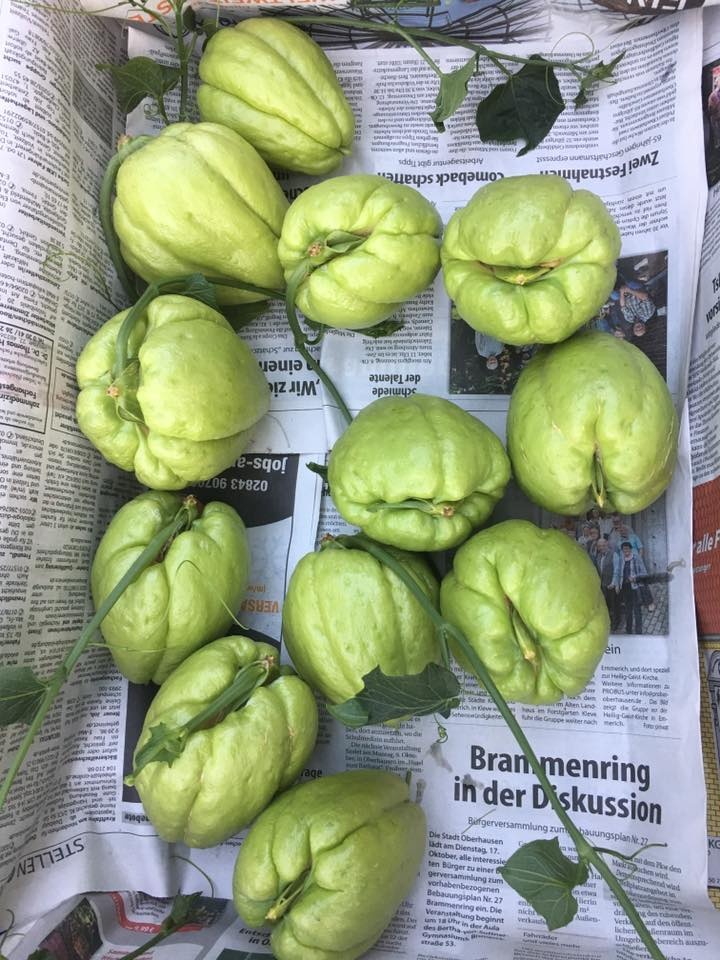 gian su su dem moi tay khong het qua cua me viet o duc