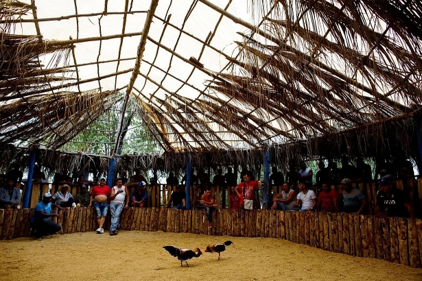 ben trong nhung soi ga hut khach o cuba