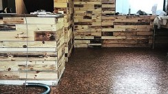 Tiết kiệm tiền, chủ tiệm Anh lát sàn bằng 70.000 đồng xu