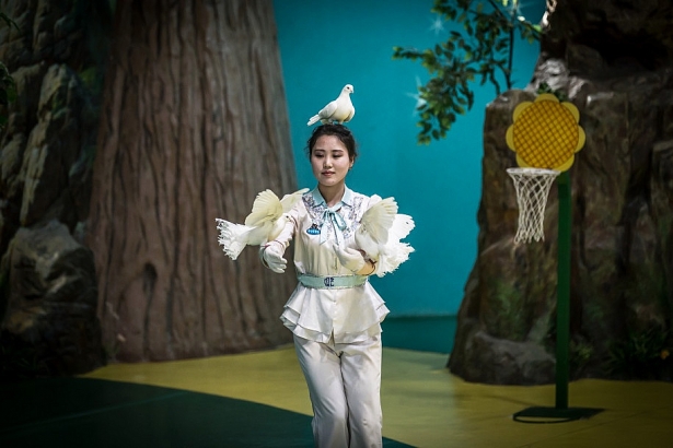 nha giau trieu tien giai tri nhu the nao