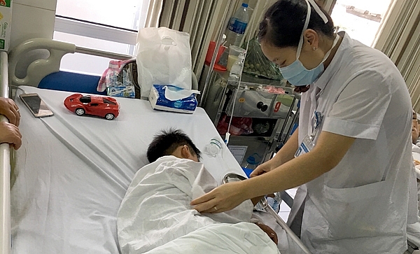 nuoi cho khong huan luyen co the tro thanh sat thu voi gia dinh