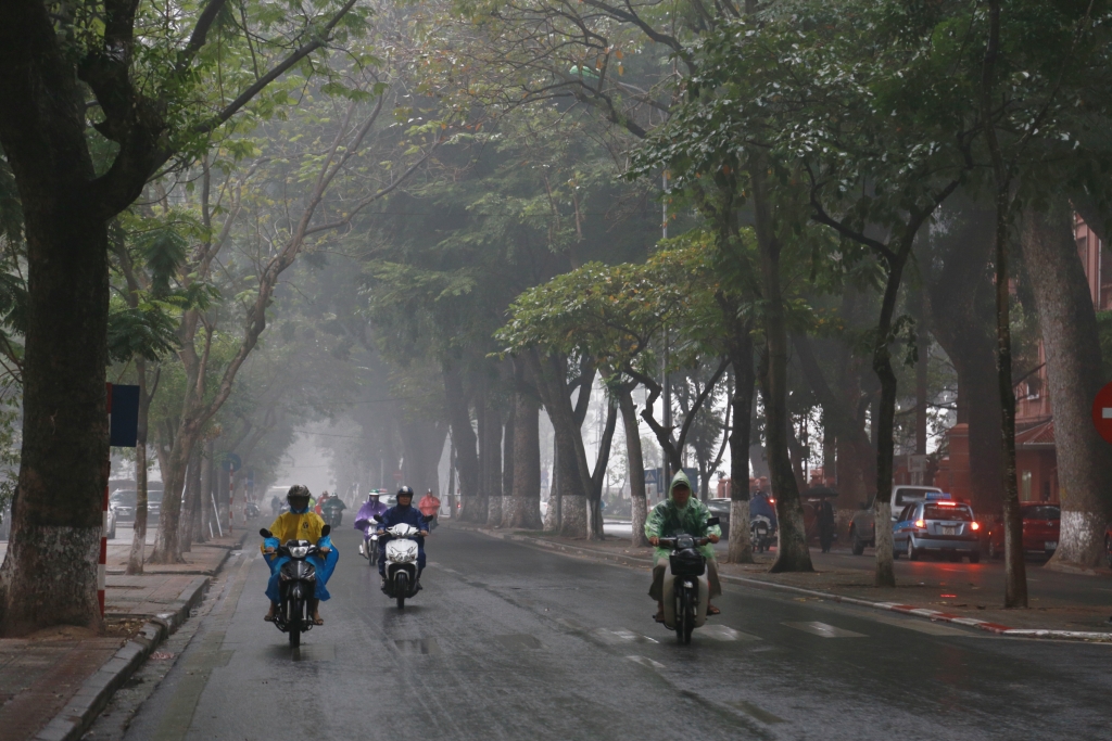 ha noi bat ngo chim trong suong mu day dac