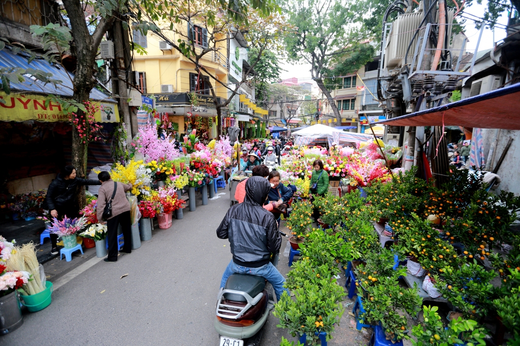 huong vi tet da ve tren khap pho phuong ha noi