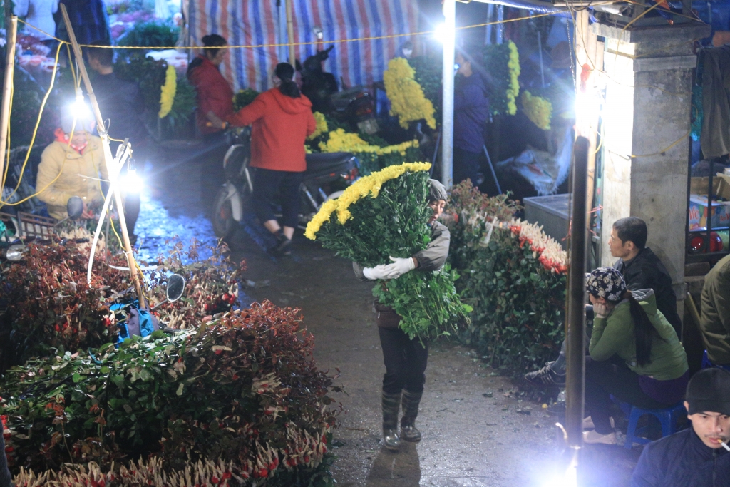 nguoi lao dong trang dem chiu ret phoi suong tai cho hoa lon nhat ha noi