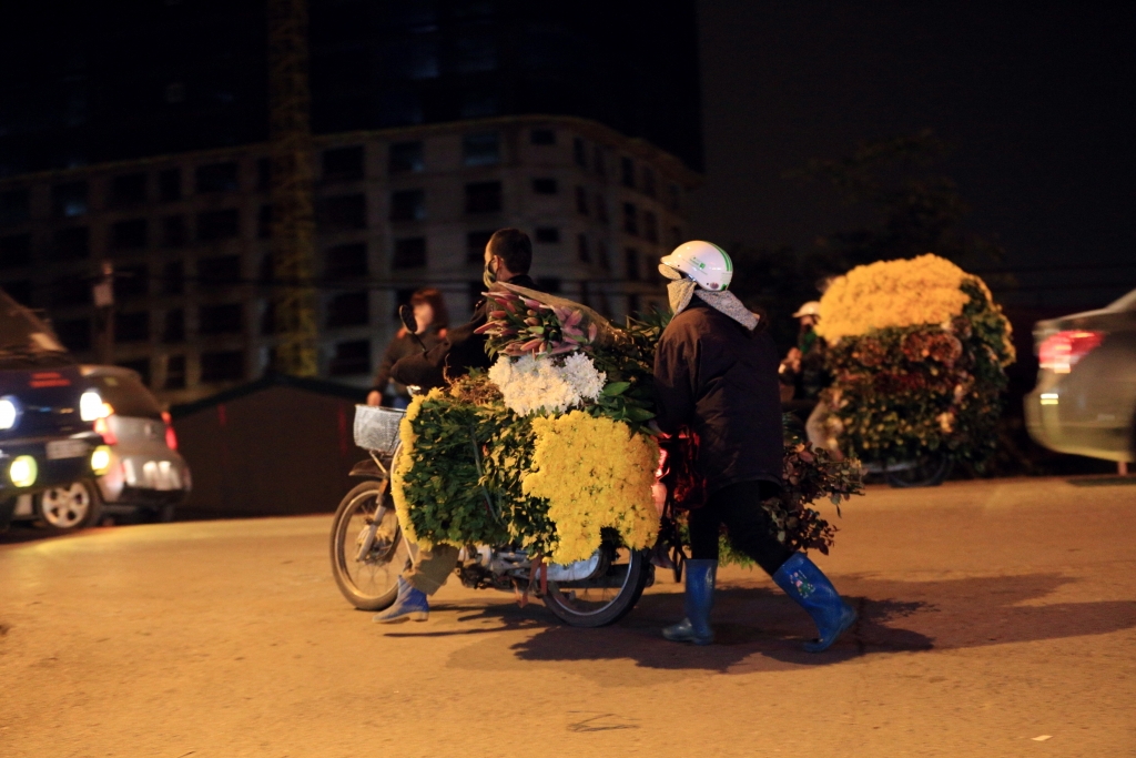 nguoi lao dong trang dem chiu ret phoi suong tai cho hoa lon nhat ha noi