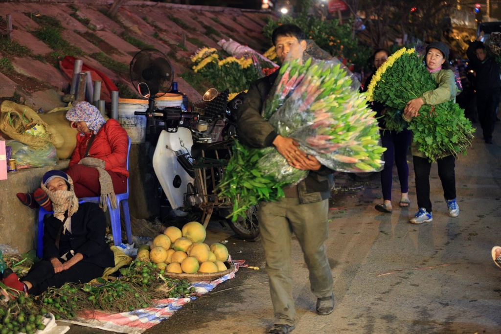 nguoi lao dong trang dem chiu ret phoi suong tai cho hoa lon nhat ha noi