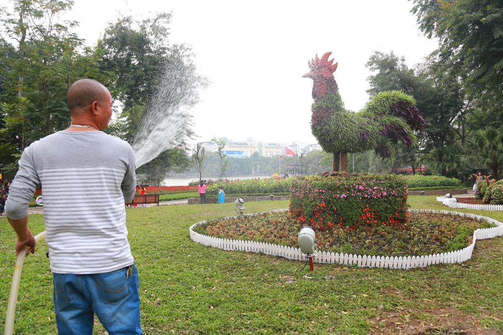 12 con giap khong lo xuong pho chao xuan 2017
