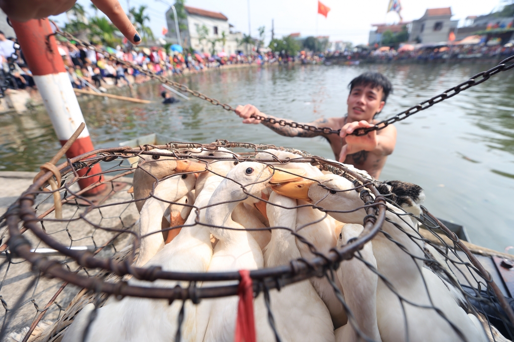 trai lang nhan thuong ca chi vang khi choi tro bat vit duoi ao