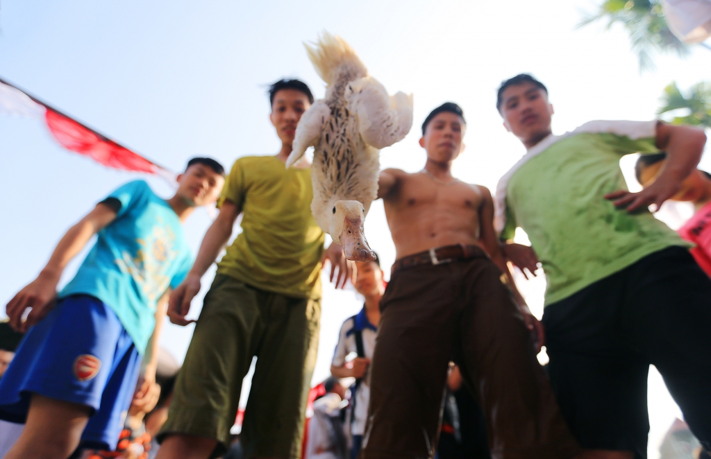 trai lang nhan thuong ca chi vang khi choi tro bat vit duoi ao