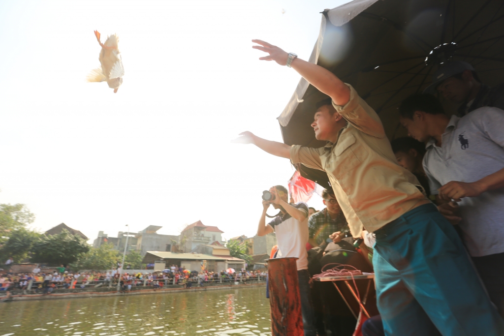 trai lang nhan thuong ca chi vang khi choi tro bat vit duoi ao