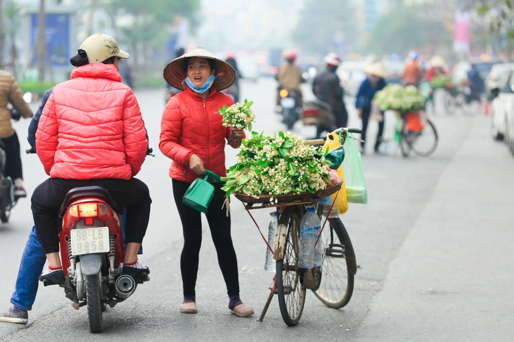ha noi trang tinh khoi thom ngao ngat nhung ganh hoa buoi dau mua