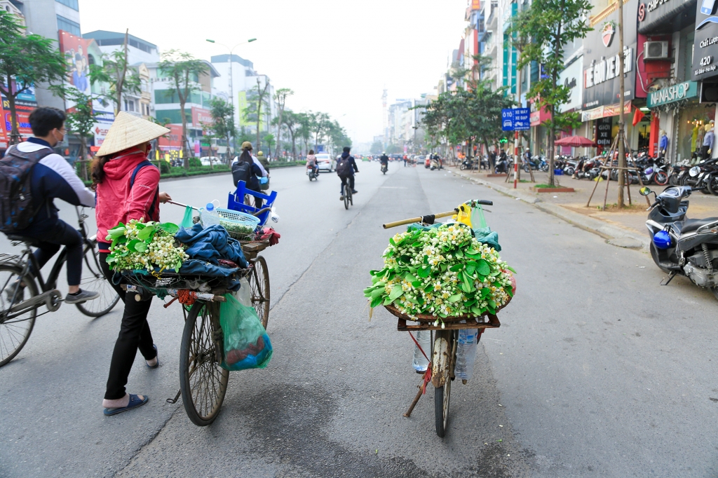 ha noi trang tinh khoi thom ngao ngat nhung ganh hoa buoi dau mua
