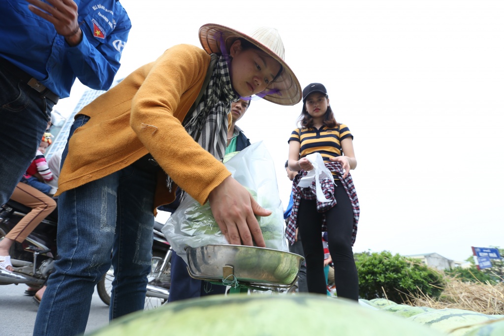 ha noi giai cuu 20 tan dua hau ung ho nong dan quang ngai