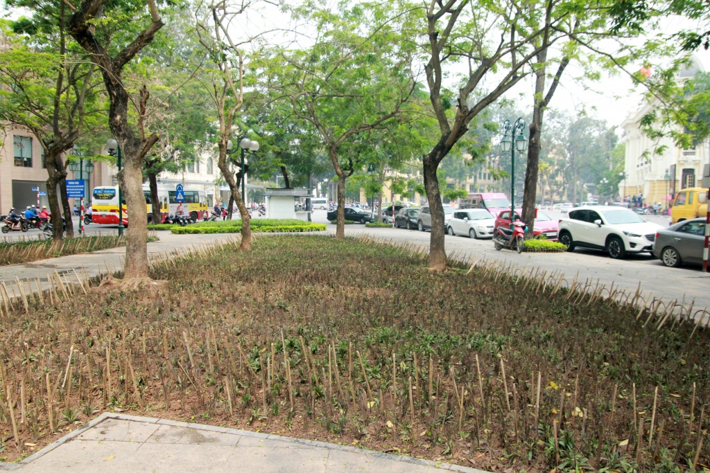 lanh nguoi chung kien hang rao chong tre nhon hoat canh vuon hoa nha hat lon de chong cho