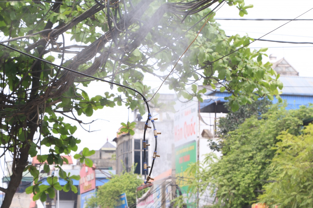 rung minh di qua nhung cot dien cuon bat tro khung sat tren duong truong chinh