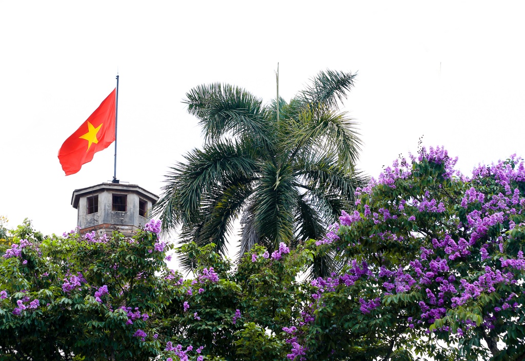 ha noi nhung con pho ngap sac hoa bang lang tim