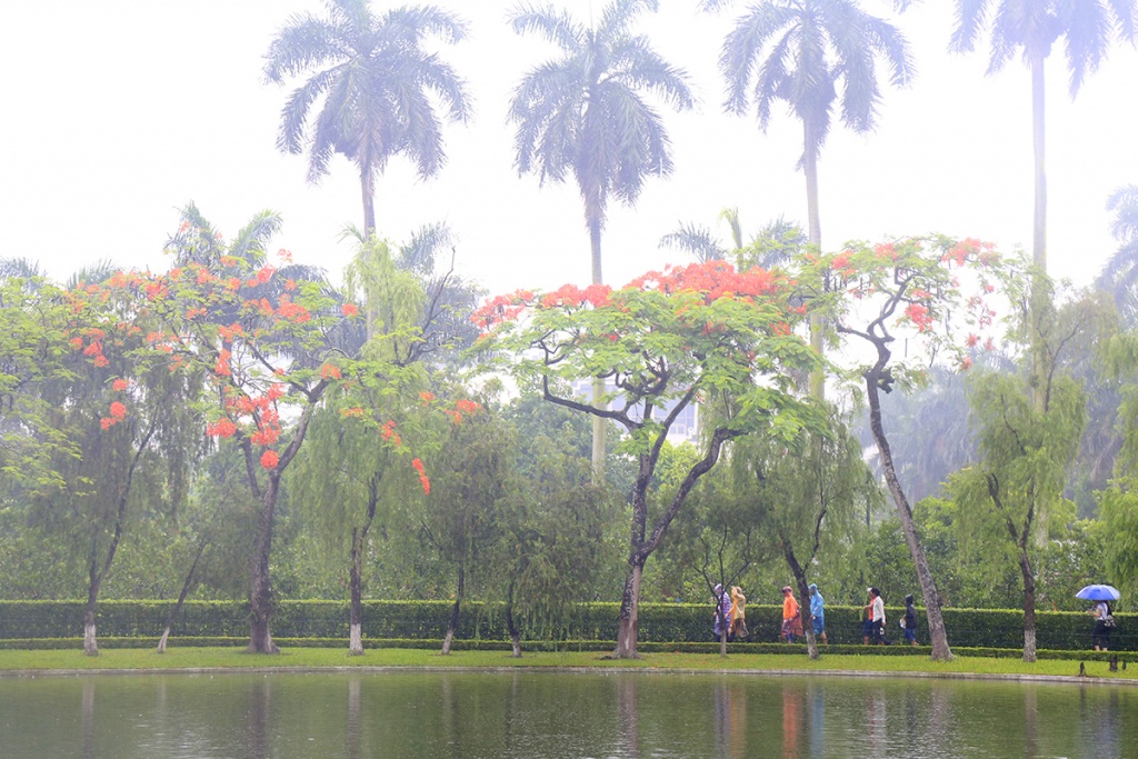 hang nghin nguoi dan doi mua vao tham lang bac