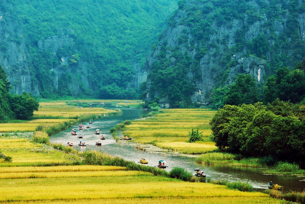 man nhan voi ve dep ruc ro tam coc mua vang lua chin