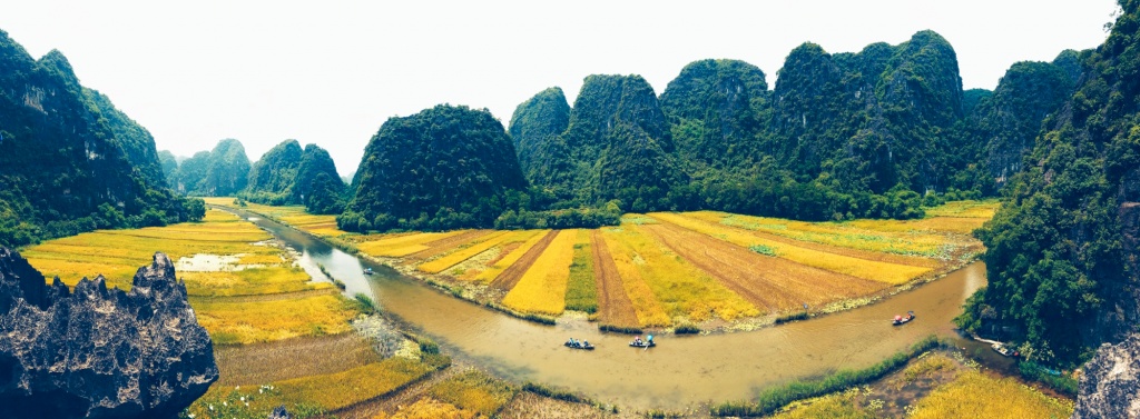 man nhan voi ve dep ruc ro tam coc mua vang lua chin