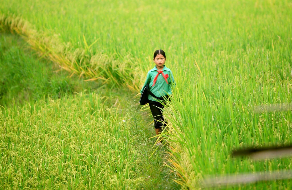 ngam nhung nu cuoi trong veo cua tre em vung cao khien xao xuyen long nguoi