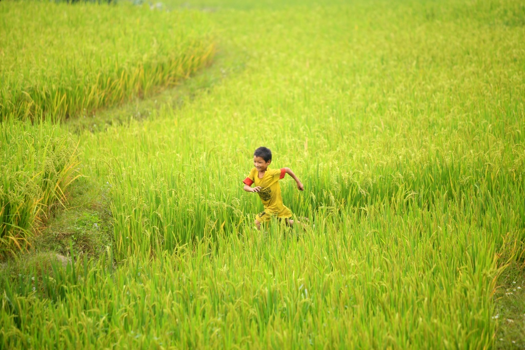 ngam nhung nu cuoi trong veo cua tre em vung cao khien xao xuyen long nguoi