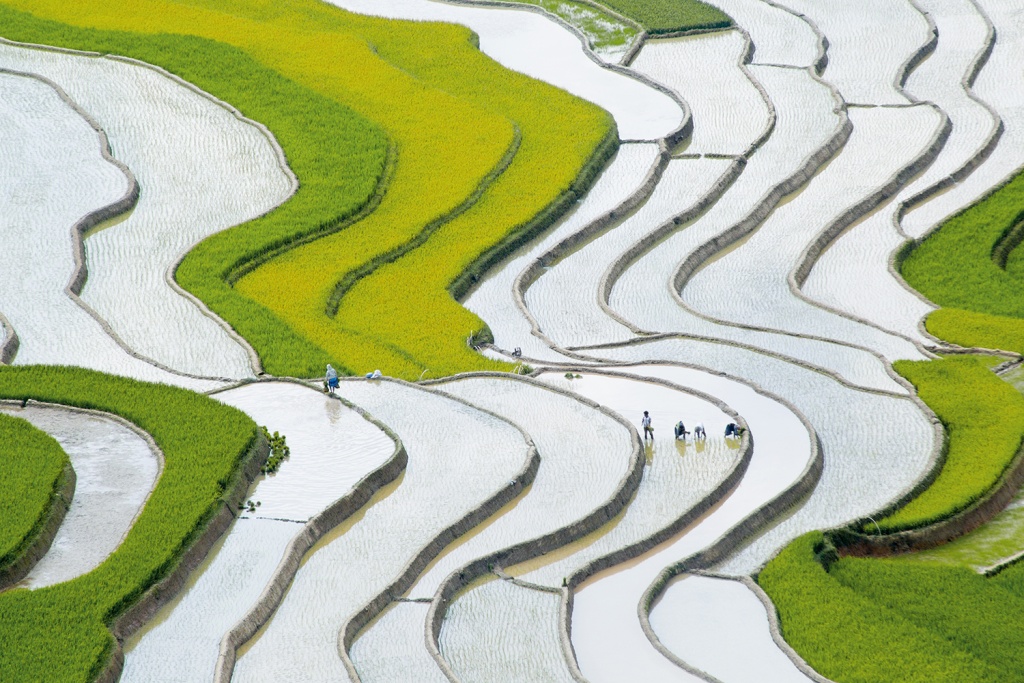 man nhan ve dep mua nuoc do mu cang chai