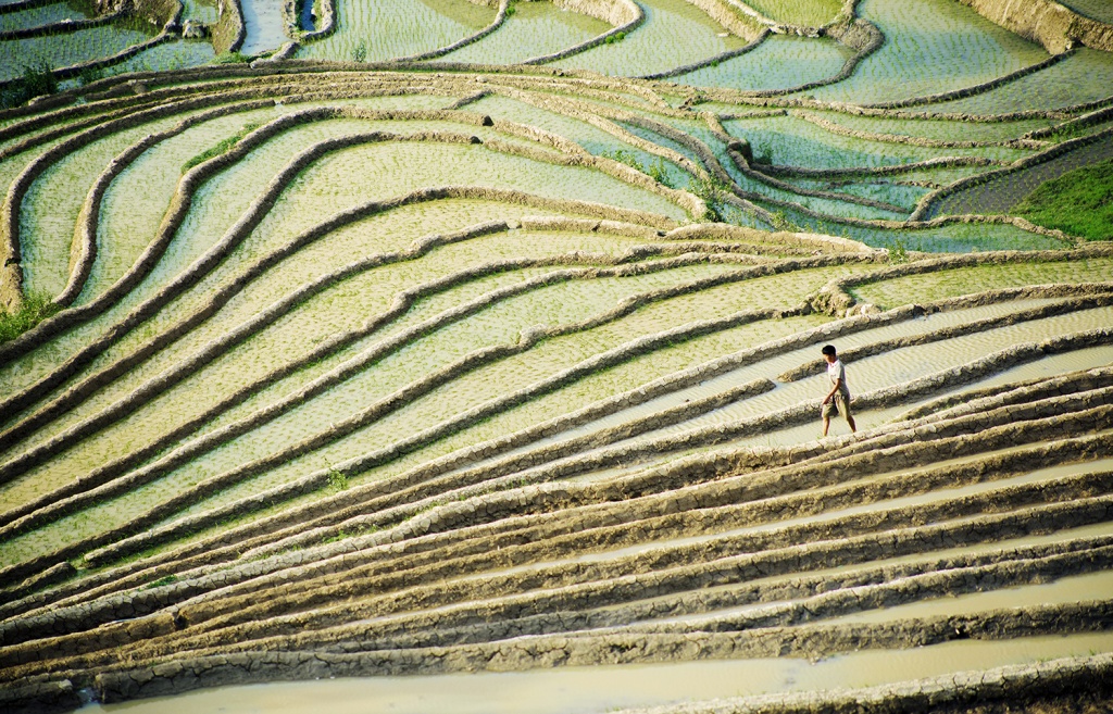 man nhan ve dep mua nuoc do mu cang chai