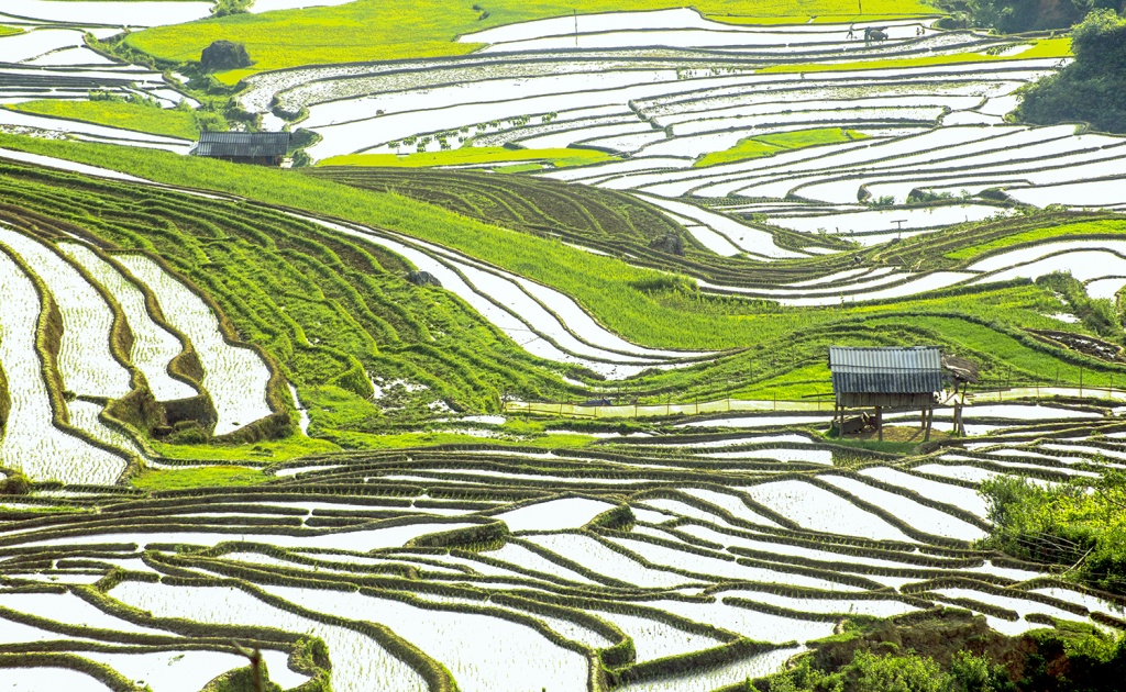 man nhan ve dep mua nuoc do mu cang chai