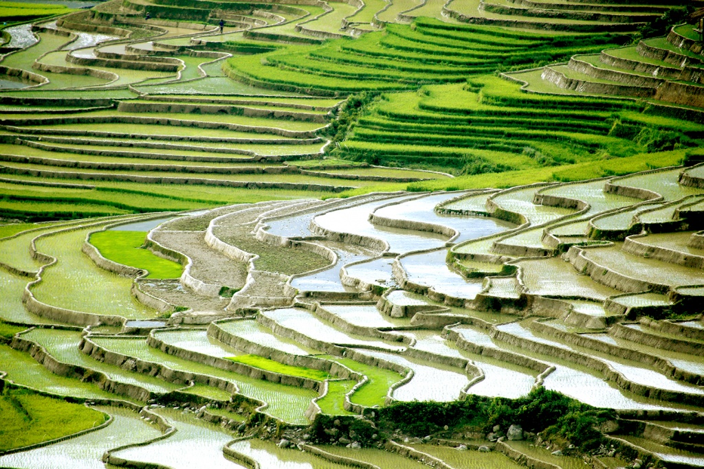 man nhan ve dep mua nuoc do mu cang chai