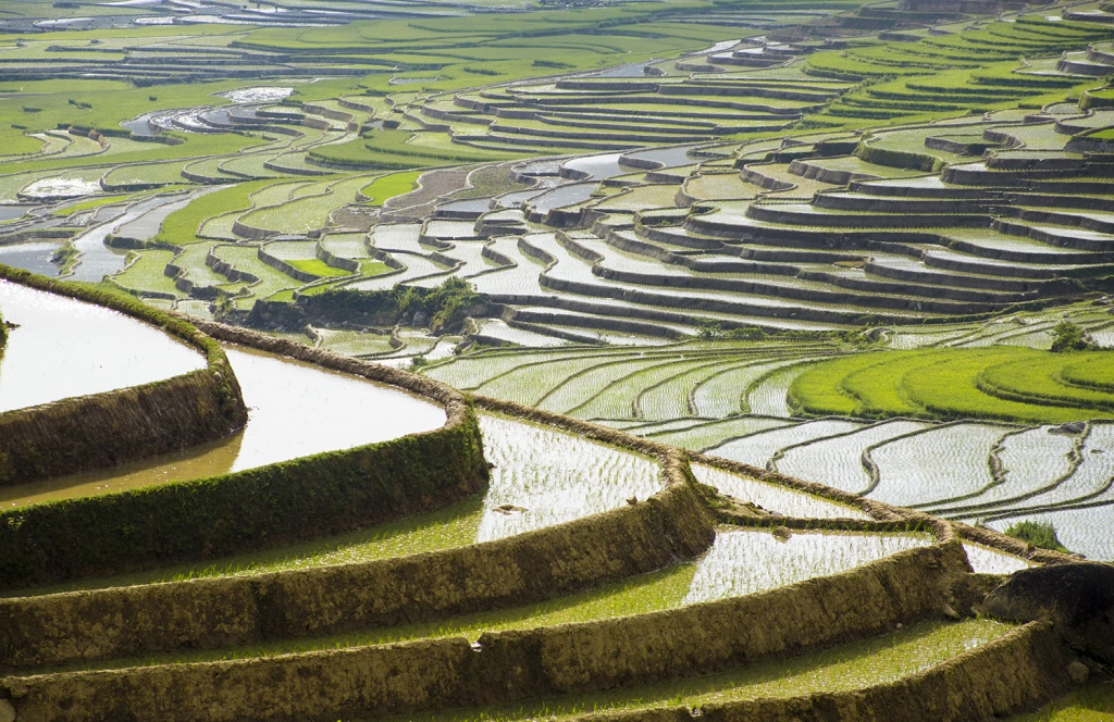 man nhan ve dep mua nuoc do mu cang chai