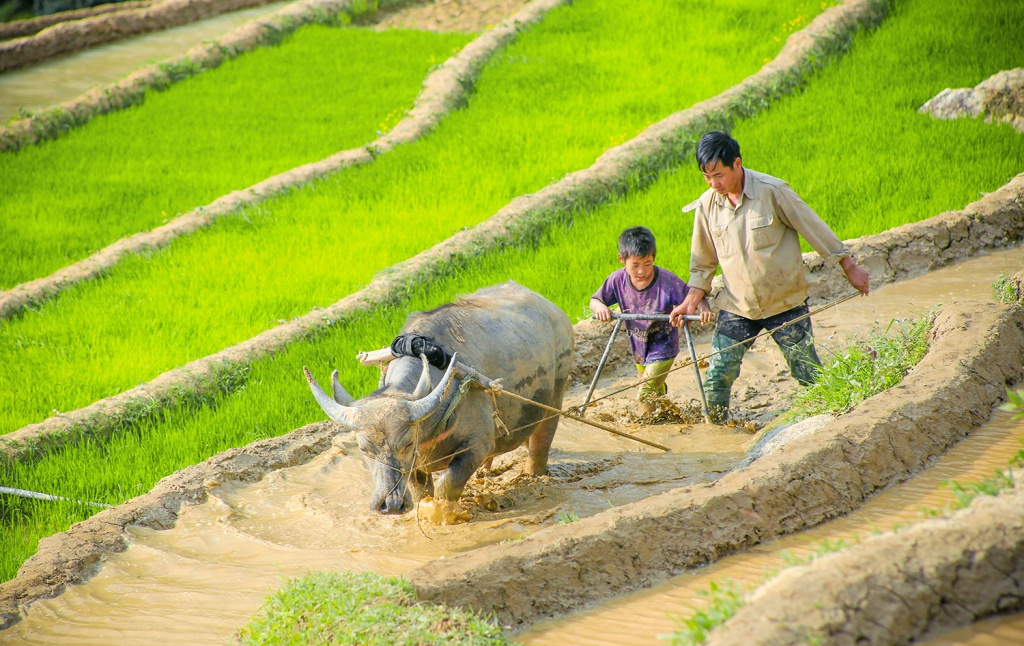 man nhan ve dep mua nuoc do mu cang chai