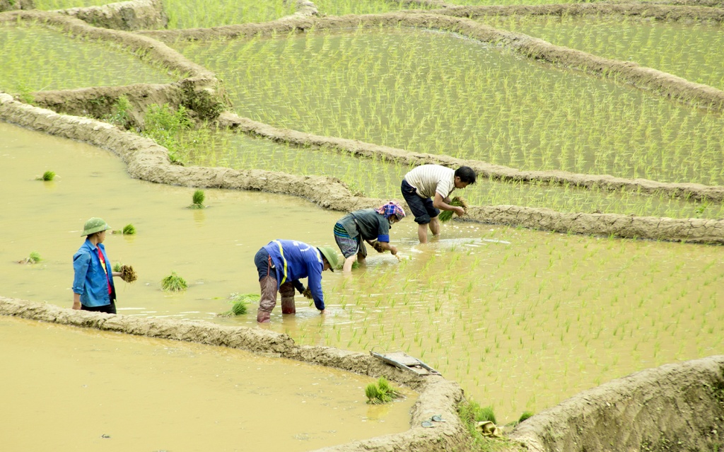 man nhan ve dep mua nuoc do mu cang chai