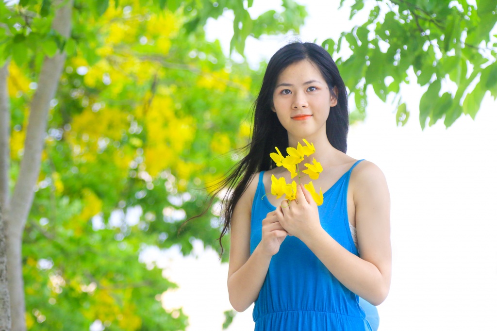ngan ngo mua muong hoang yen nhuom vang ha noi