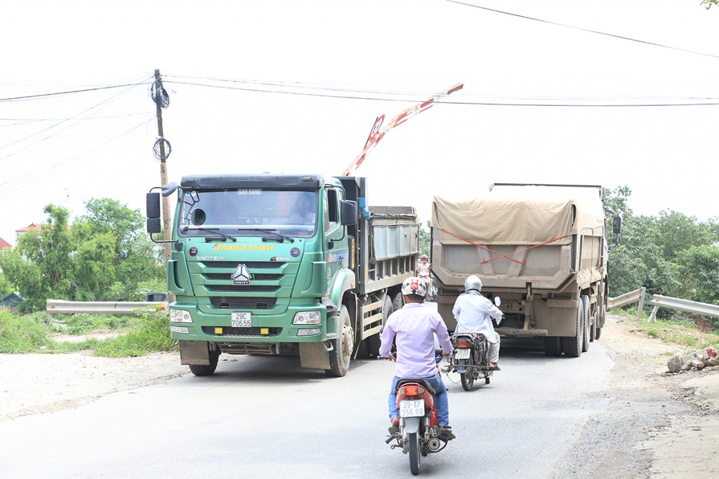 cay cau bac qua 2 the ky o ha noi hang ngay dang bi bop chet