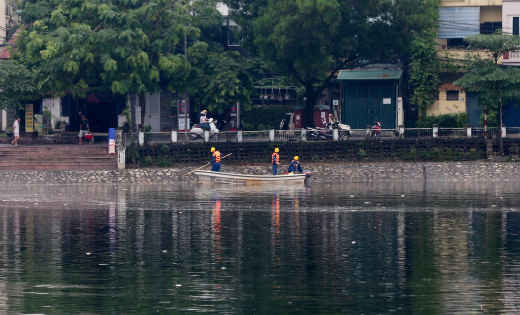 sau mua lon ca lai chet trang ho hoang cau