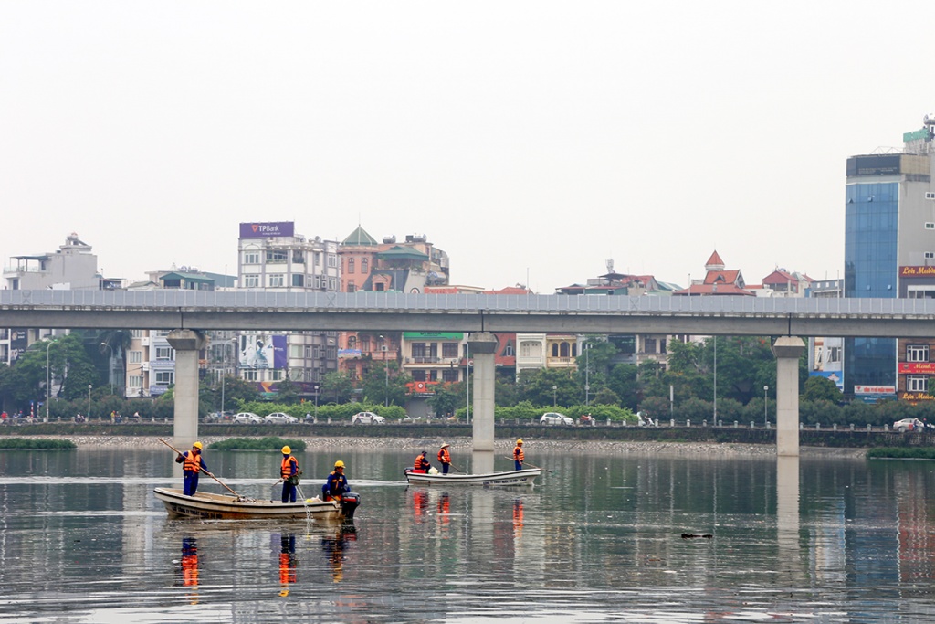 sau mua lon ca lai chet trang ho hoang cau