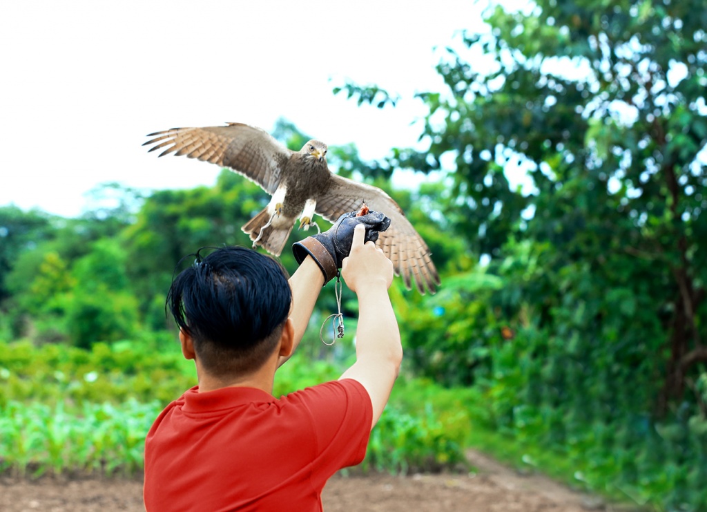 huan luyen sat thu bau troi thu choi doc dao cua nguoi ha noi