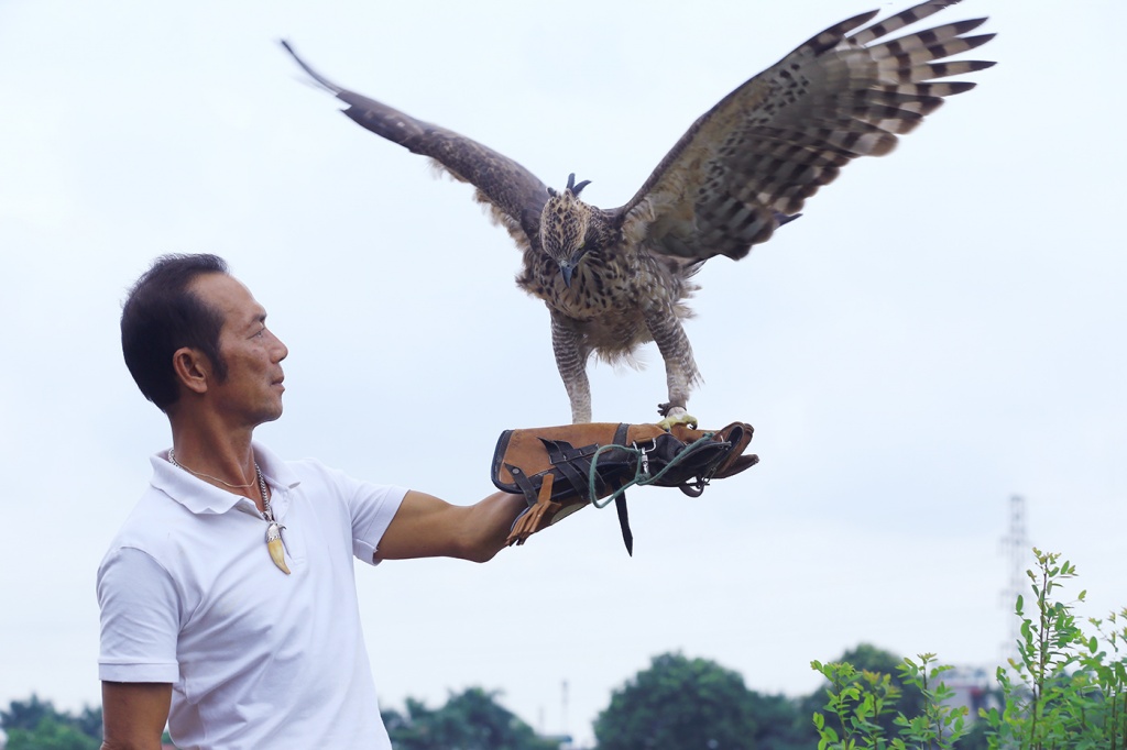 huan luyen sat thu bau troi thu choi doc dao cua nguoi ha noi
