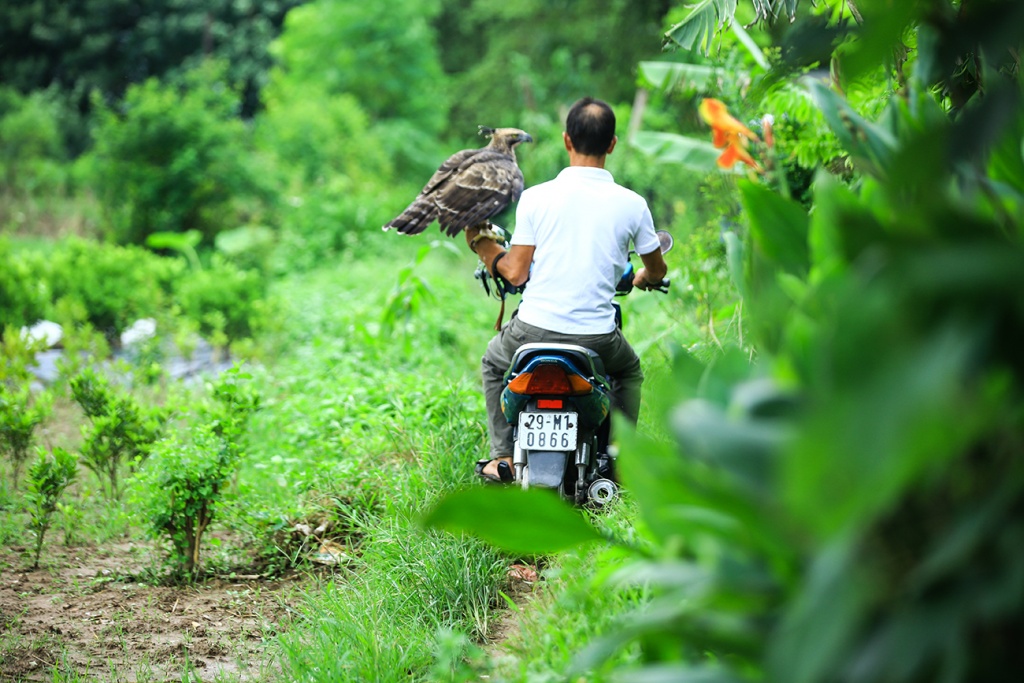 huan luyen sat thu bau troi thu choi doc dao cua nguoi ha noi