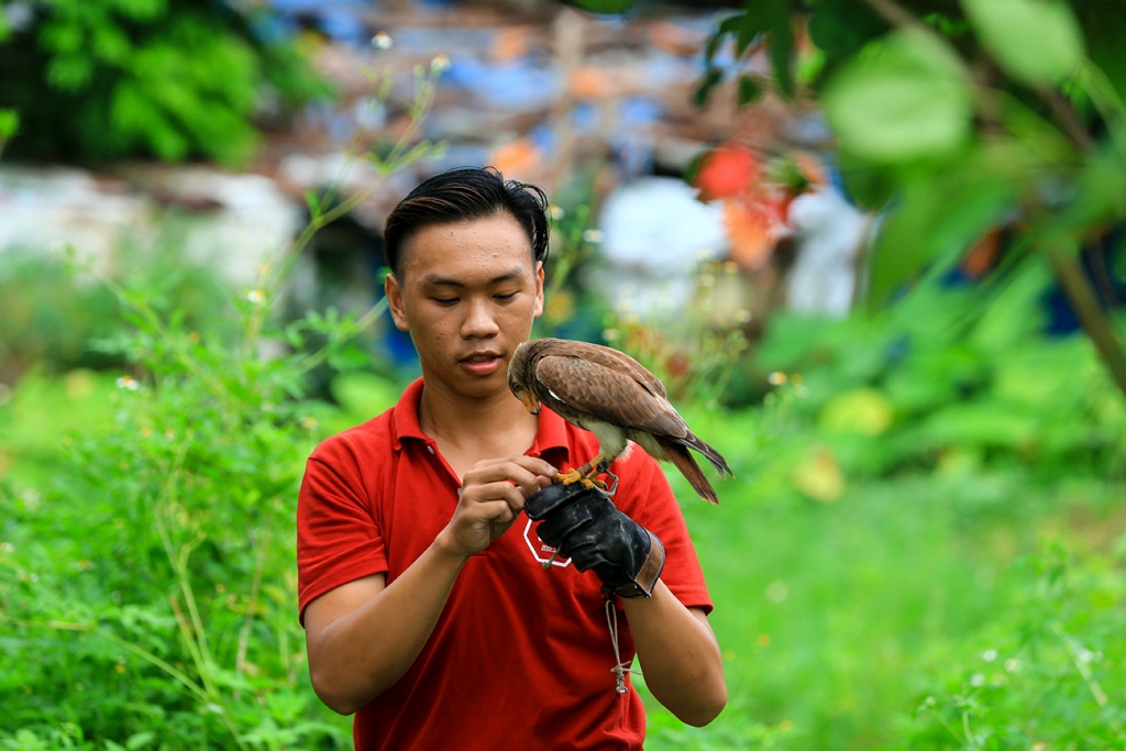huan luyen sat thu bau troi thu choi doc dao cua nguoi ha noi