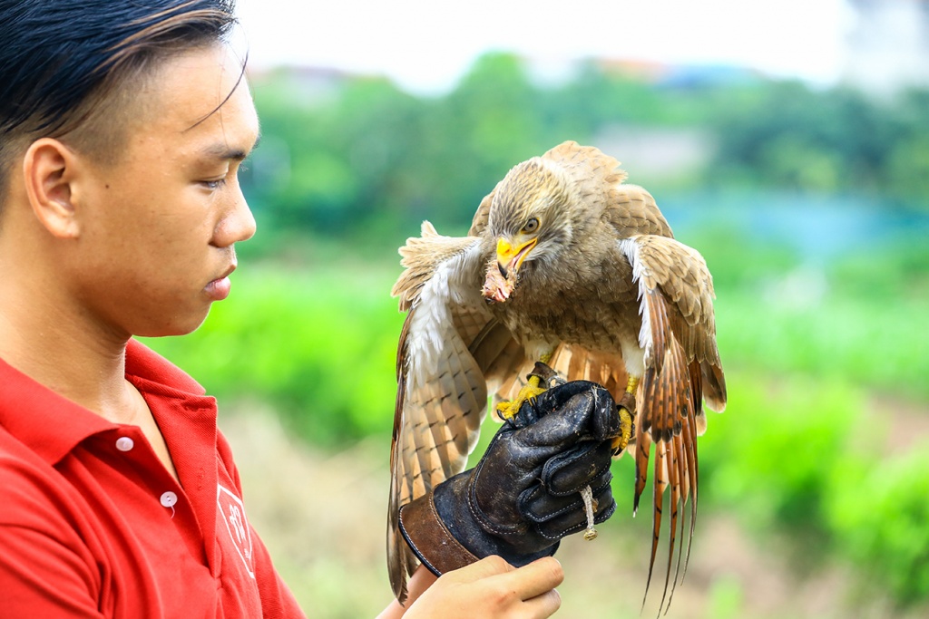 huan luyen sat thu bau troi thu choi doc dao cua nguoi ha noi