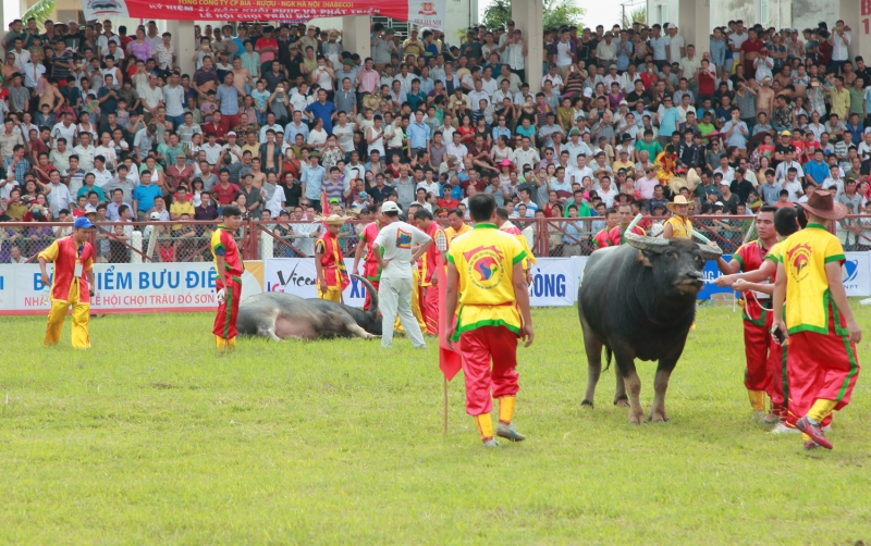 nhung tran thi dau nghet tho ong trau chet ngay tren san