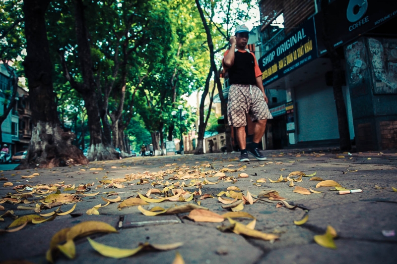 ha noi binh yen sang mua thu