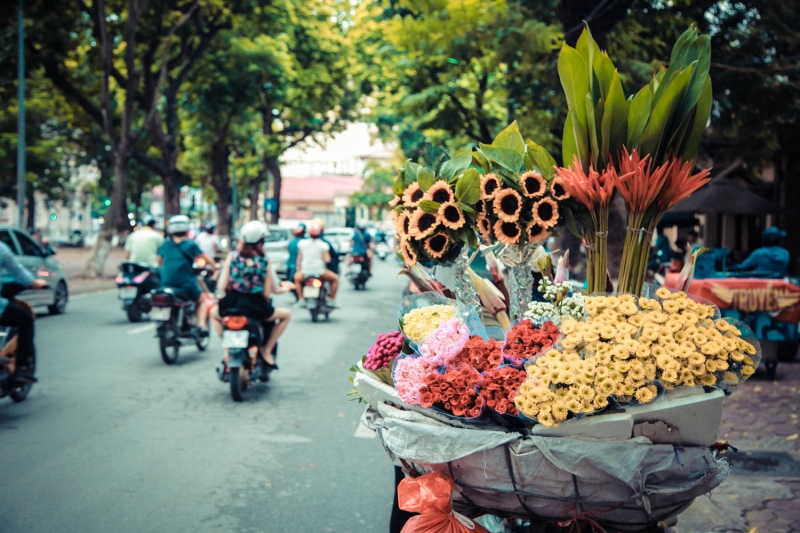ha noi binh yen sang mua thu