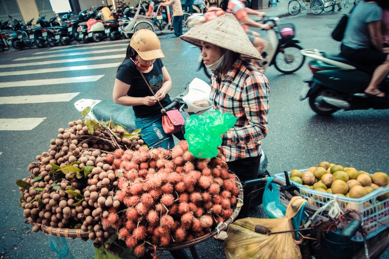 ha noi binh yen sang mua thu