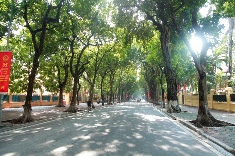 ha noi binh yen sang mua thu