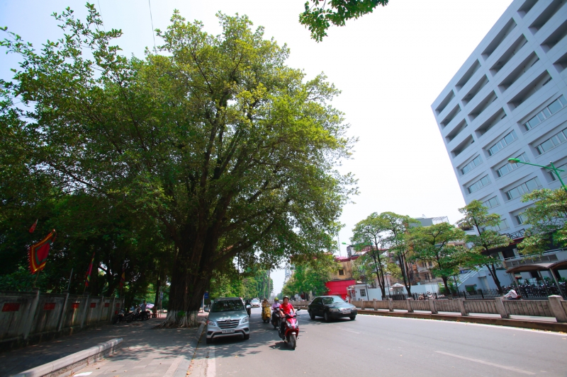nguoi dan tiec nuoi khi sap khong con con duong tho mong nhat thu do
