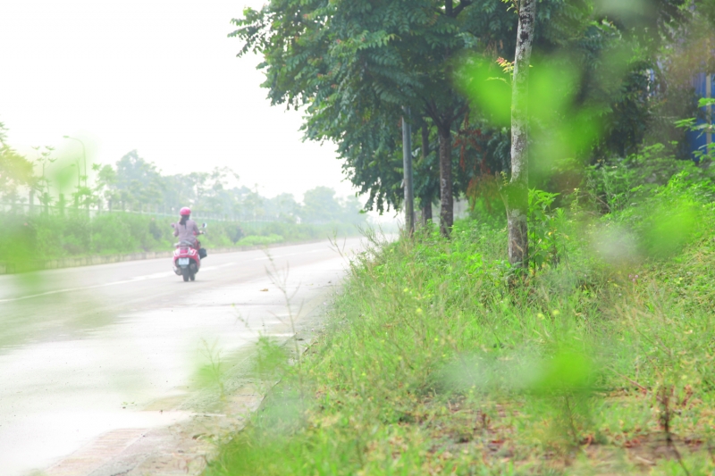 co moc um tum tren duong pho ha noi