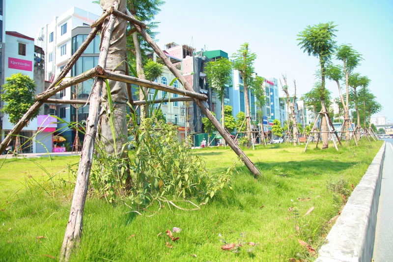 co moc um tum tren duong pho ha noi