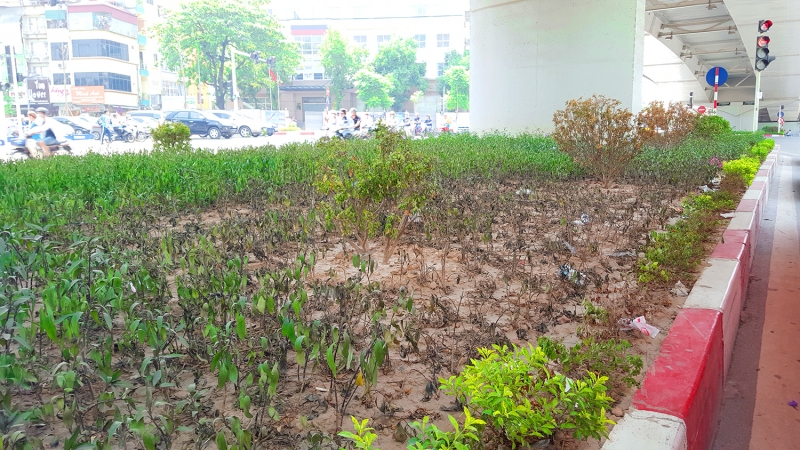 co moc um tum tren duong pho ha noi